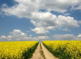 Der Weg ist das Ziel